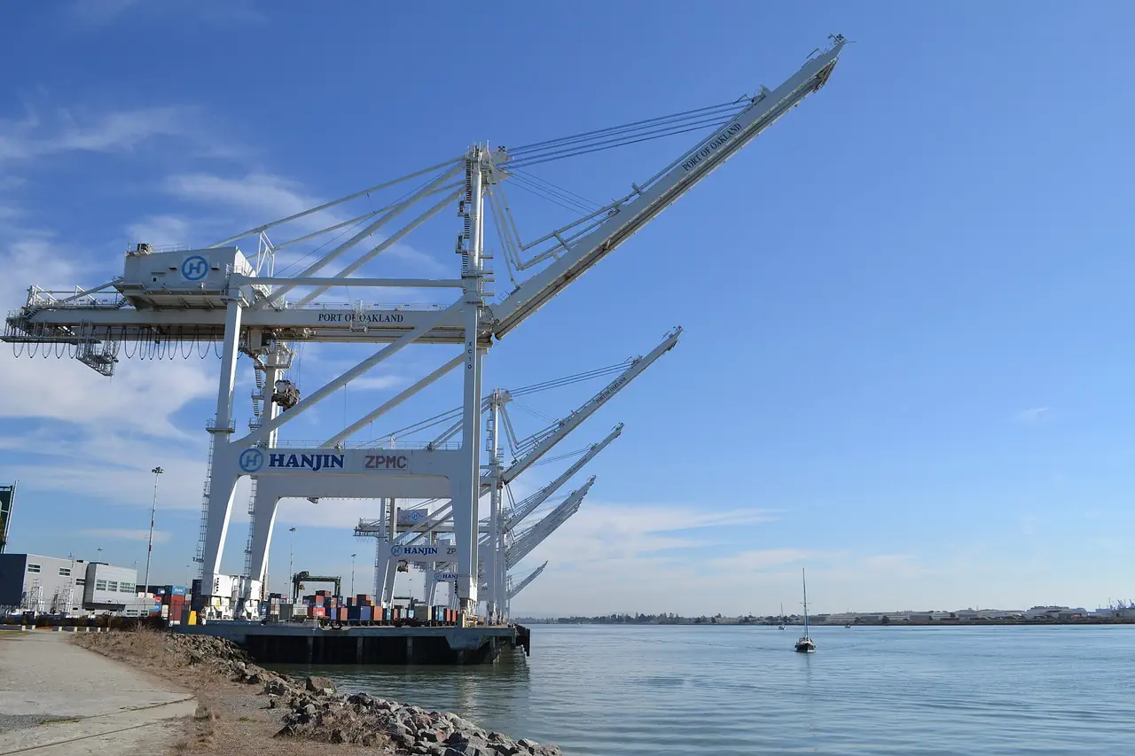 White container cranes lined up along the water at the Port of Oakland on a clear day, with a sailboat passing.